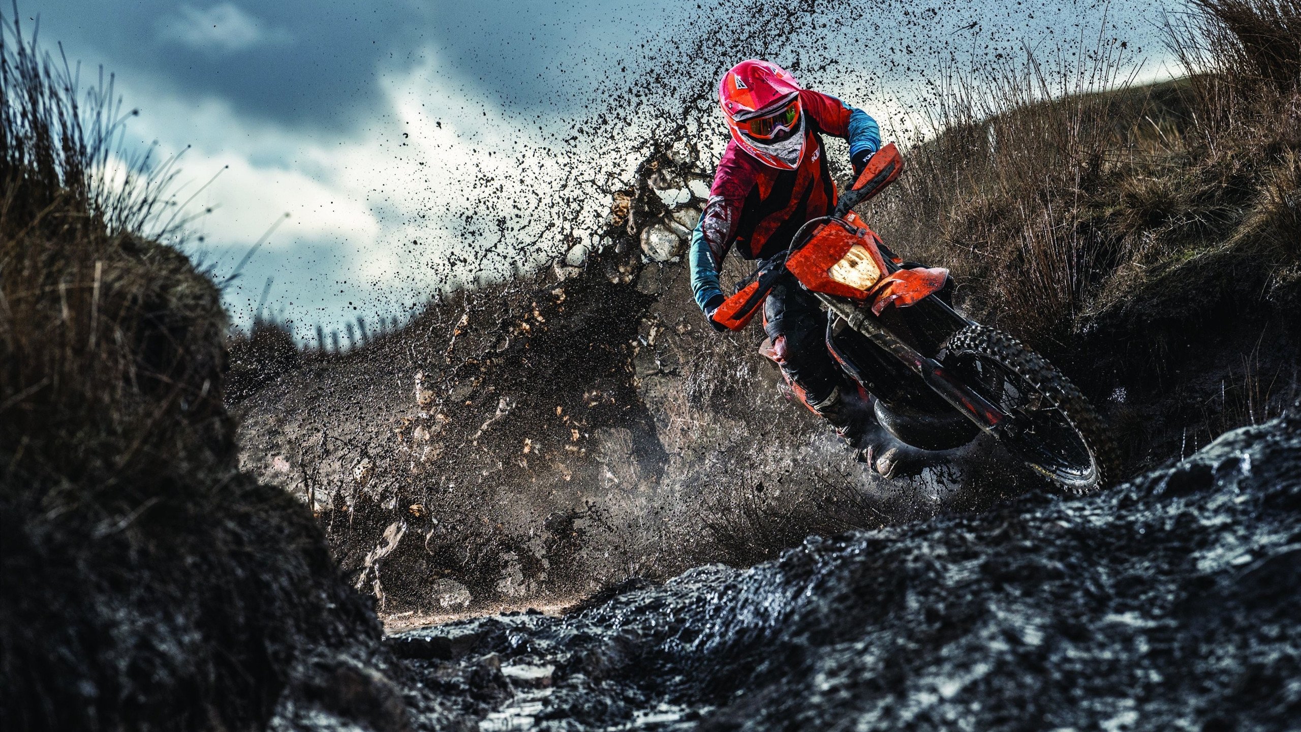 运动员职业发展新路径，篮球与娱乐产业跨界融合，职业篮球运动员与业余的差距